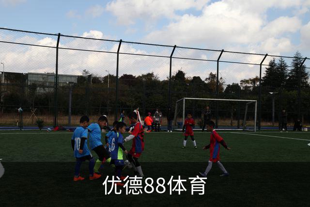 优德88体育团队与业务介绍
